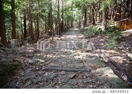 冬の阿波遍路道 鶴林寺道 冬の阿波遍路道 鶴林寺道 98549953