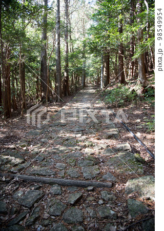 冬の阿波遍路道 鶴林寺道 冬の阿波遍路道 鶴林寺道 98549954
