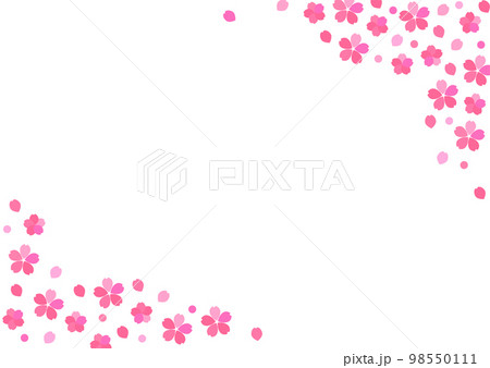 桜の花と花びらのシンプルな白背景の横型フレーム 桜の花と花びらのシンプルな白背景の横型フレーム 98550111