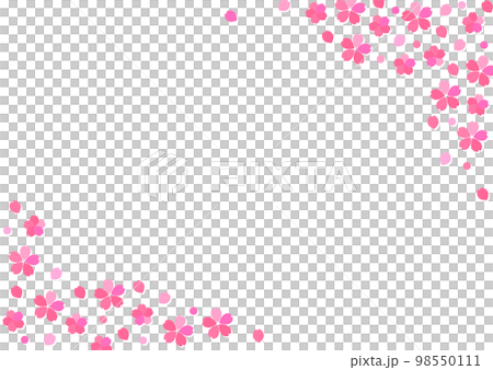 桜の花と花びらのシンプルな白背景の横型フレーム 桜の花と花びらのシンプルな白背景の横型フレーム 98550111