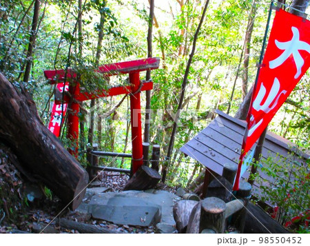 宮崎県綾町の神社 宮崎県綾町の神社 98550452