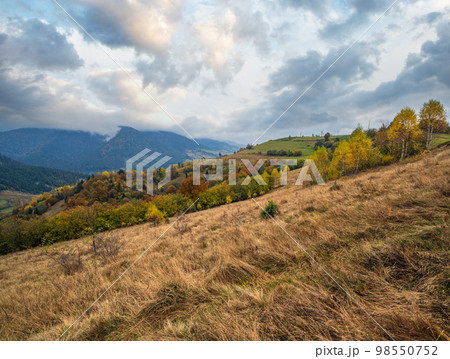 Cloudy and foggy day autumn mountains scene. Peaceful picturesque traveling, seasonal, nature and countryside beauty concept scene. Carpathian Mountains, Ukraine. 98550752