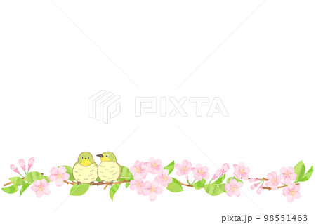 桜とメジロのフレーム背景素材 98551463