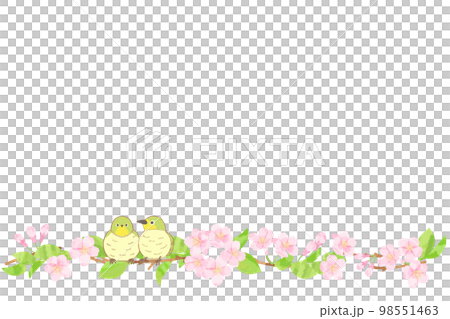 櫻花白眼框背景素材 98551463