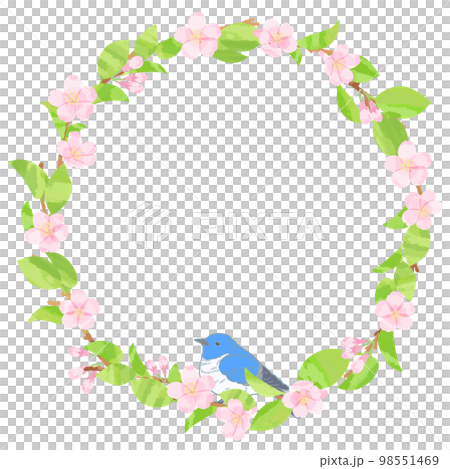 桜と青い鳥のフレーム背景素材 98551469