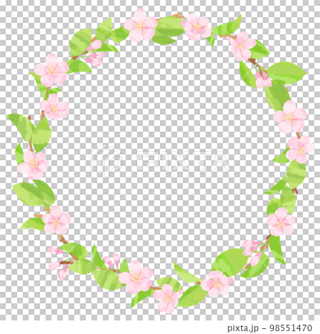 Cherry blossom sprouts and flowers wreath frame illustration material Cherry blossom sprouts and flowers wreath frame illustration material 98551470