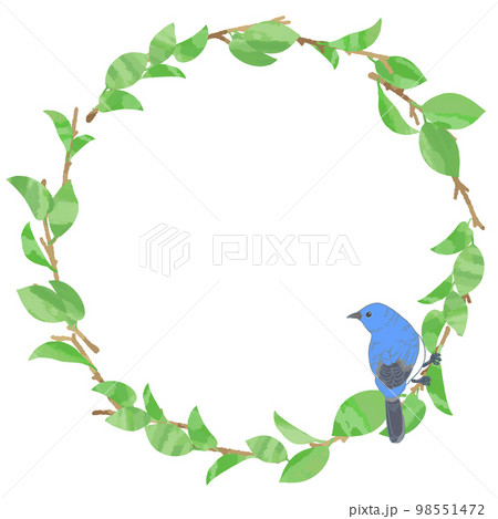若葉と青い鳥のフレーム背景素材 98551472