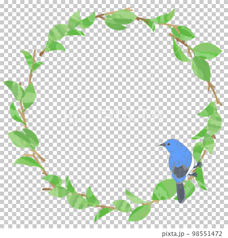 Frame background material of young leaves and blue birds 98551472