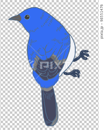 青い鳥のベクターイラスト素材 98551476