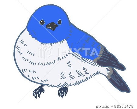 青い鳥のベクターイラスト素材 98551479