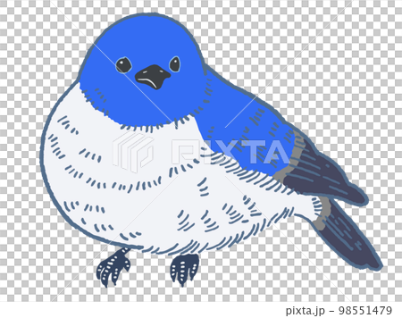 青い鳥のベクターイラスト素材 98551479