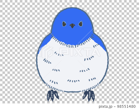 Blue bird vector illustration material Blue bird vector illustration material 98551480