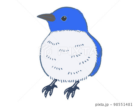 青い鳥のベクターイラスト素材 98551481