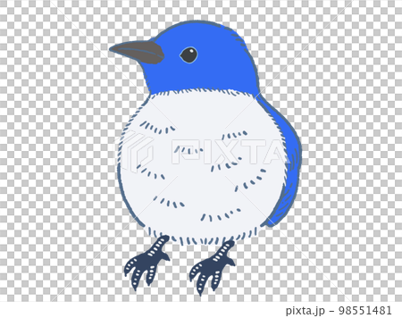 青い鳥のベクターイラスト素材 98551481
