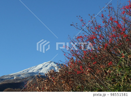 鳥海山とその周辺の秋 鳥海山とその周辺の秋 98551581