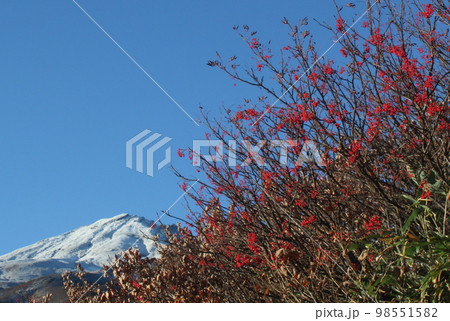 鳥海山とその周辺の秋 鳥海山とその周辺の秋 98551582
