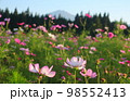 鳥海山とその周辺の秋 98552413