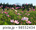 鳥海山とその周辺の秋 98552434