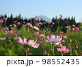 鳥海山とその周辺の秋 98552435
