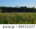 鳥海山とその周辺の秋 98552437