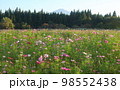 鳥海山とその周辺の秋 98552438