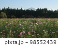 鳥海山とその周辺の秋 98552439