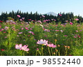 鳥海山とその周辺の秋 98552440