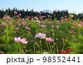 鳥海山とその周辺の秋 98552441