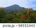 鳥海山とその周辺の秋 98552443