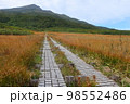 鳥海山とその周辺の秋 98552486