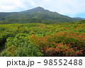 鳥海山とその周辺の秋 98552488