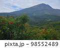 鳥海山とその周辺の秋 98552489
