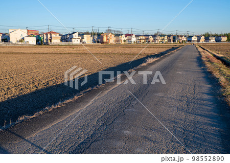 冬景色 住宅地と田圃 川越市南古谷付近 冬景色 住宅地と田圃 川越市南古谷付近 98552890