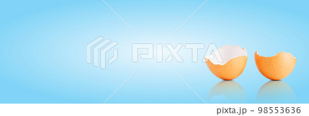 Egg shell isolated on white. Broken egg shell on light blue background Egg shell isolated on white. Broken egg shell on light blue background 98553636