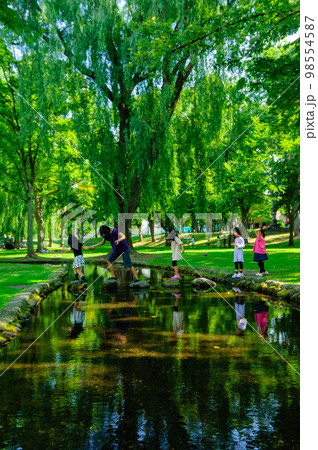 皆んなで渡ろう！（北大構内サクシュコトニ川）_7599 98554587