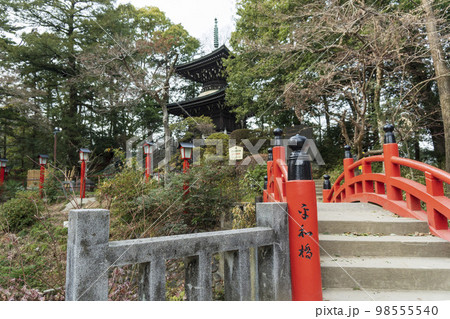 多宝塔を背景にした太鼓橋【妻沼聖天山歓喜院】埼玉県熊谷市 98555540
