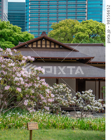 皇居の日本庭園 皇居の日本庭園 98556652