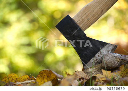 Hatchet or ax standing upright in a tree stump 98556679