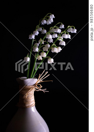 White Lily of the valley, Convallaria majalis 98556680
