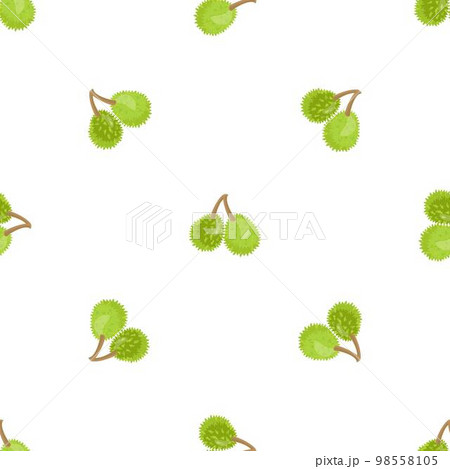 Durians pattern seamless background texture repeat wallpaper geometric vector 98558105