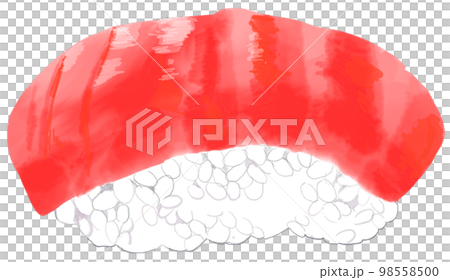 Watercolor-style tuna sushi illustration 98558500