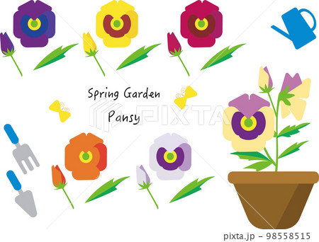パンジー　spring garden 98558515