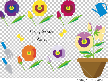 パンジー　spring garden 98558515