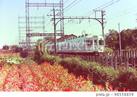武蔵野台駅隣のお花畑と京王線5000系特急（5869～5719）、1976年10月29日 98558859
