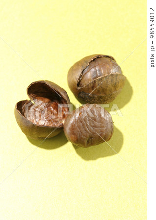 殻と甘栗 98559012