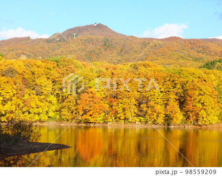 鴫の谷地沼 蔵王温泉 蔵王 紅葉 黄葉 鴫の谷地沼 蔵王温泉 蔵王 紅葉 黄葉 98559209