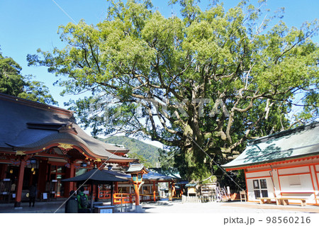 熊野那智大社 98560216