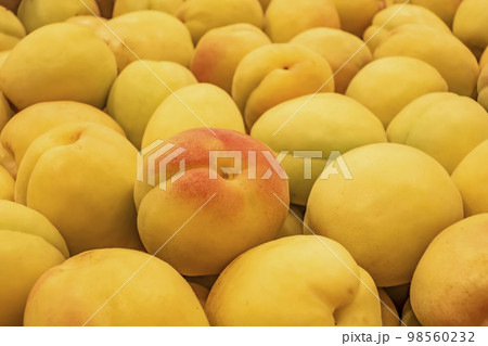 close up ripe apricots in a market close up ripe apricots in a market 98560232