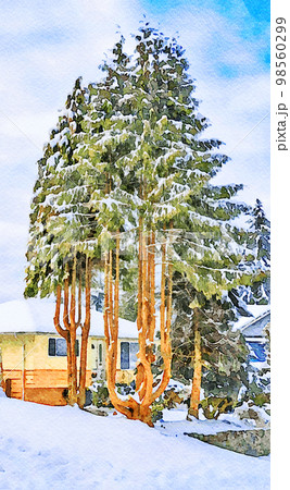 Watercolor stylization of image. Trees in the snow in front of family house 98560299