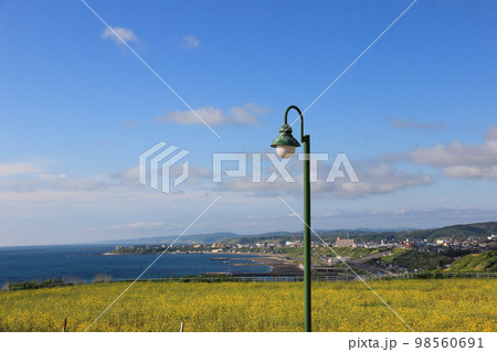菜の花畑と青い海 菜の花畑と青い海 98560691